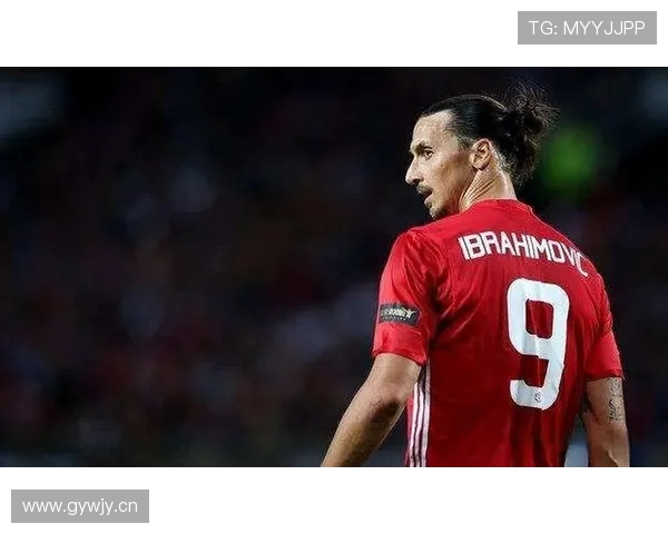 伊布退役后每天喝两瓶红酒，健身房当卧室