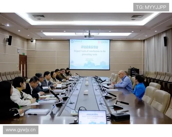 E组各队阵容深度全面评估